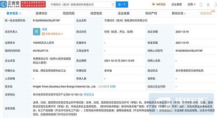 寧德時代投資10億元成立新能源材料公司，深化產業戰略布局